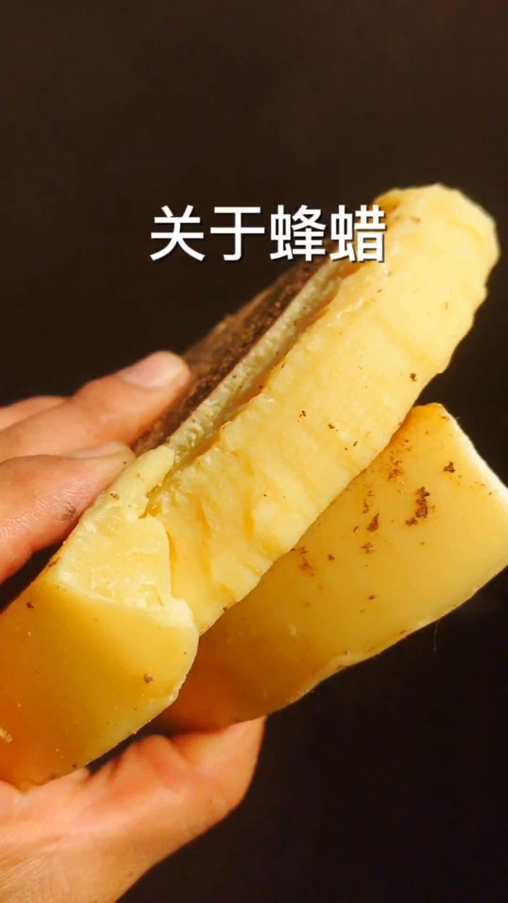 蜂蜡是什么蜂蜡能吃吗蜂蜡的功效与作用纯正天然蜂蜡 #蜂蜡 #蜂蜡加工
