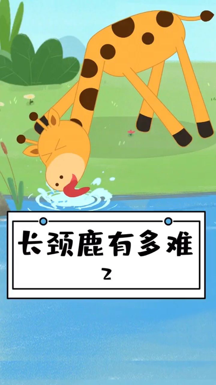 长颈鹿喝水有多难!
