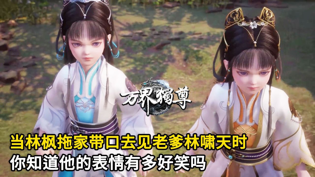 万界独尊：当林枫拖家带口去见老爹林啸天时？你知道他的表情有多好笑吗？ - 腾讯视频