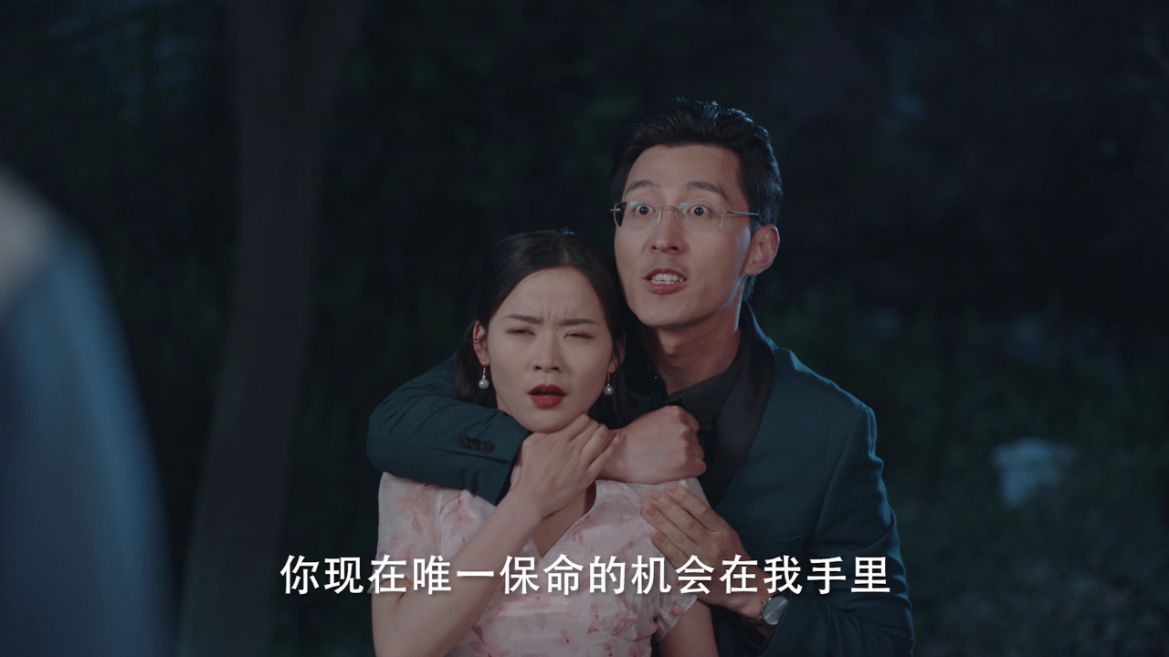 他来自程氏集团 26集
