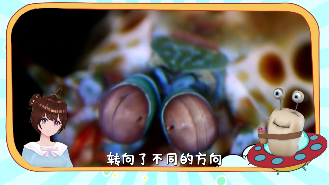 白白侠的动物朋友 12集