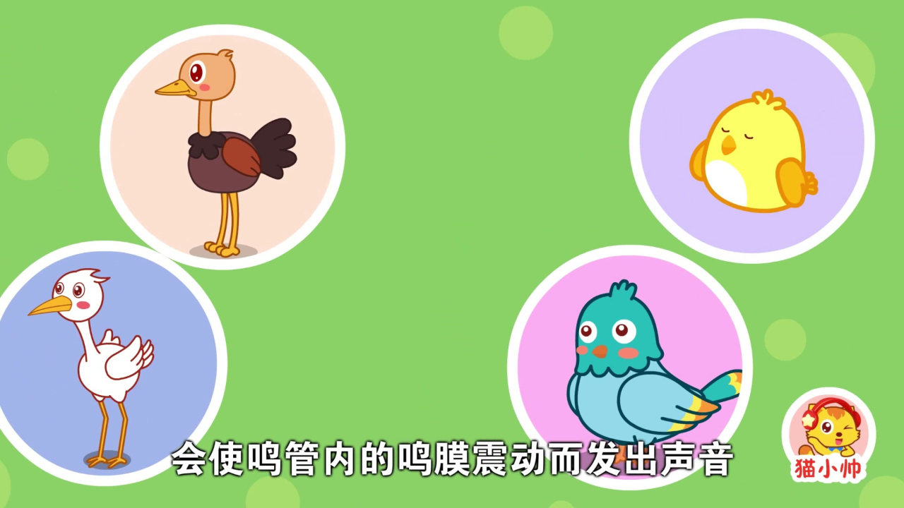 猫小帅十万个为什么 1集