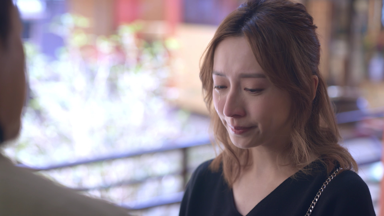 香港爱情故事[粤语版] 12集
