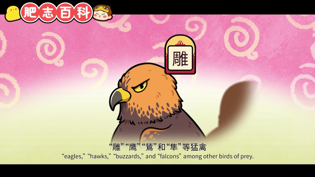 肥志百科第11季 3集