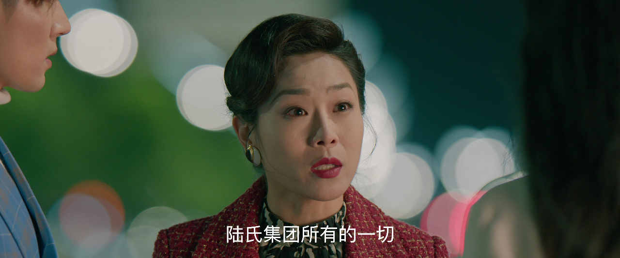误情 17集