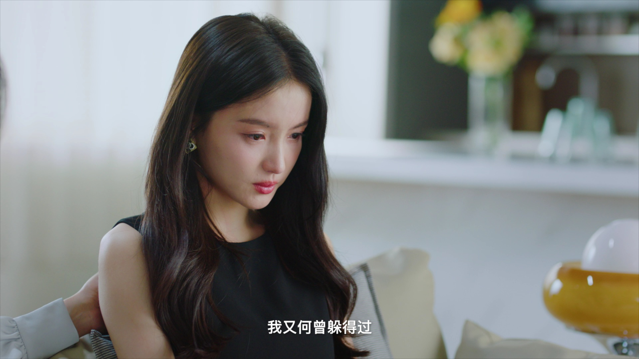 上心 15集