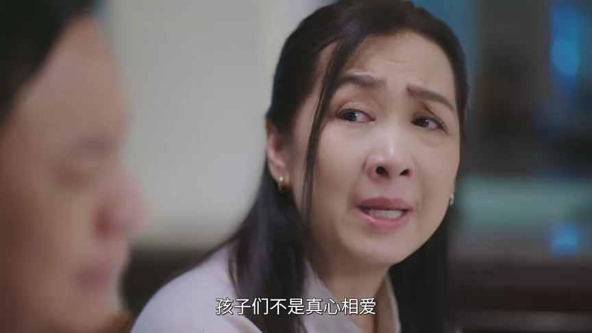 致我们单纯的小美好[普通话版] 14集