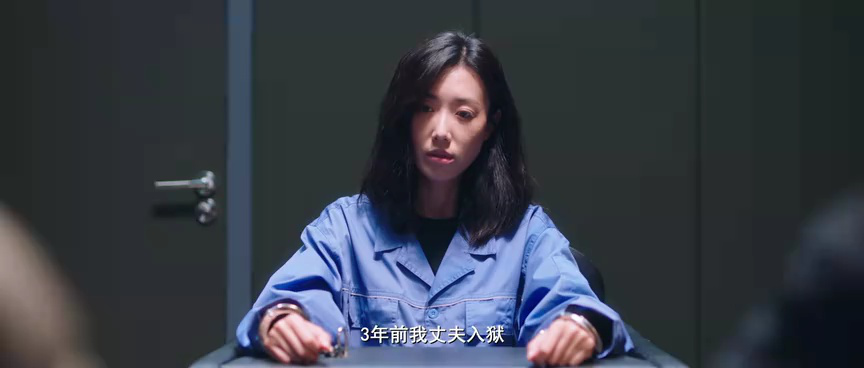 心灵迷雾 13集