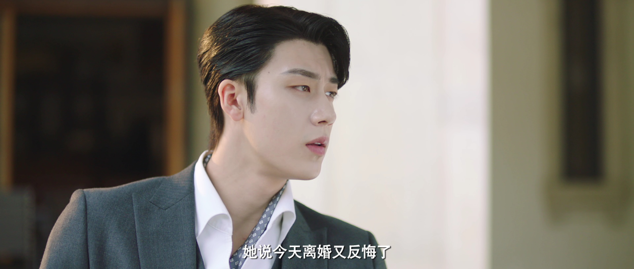 爱在离婚进行时 20集