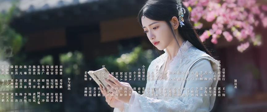 双花镜 16集