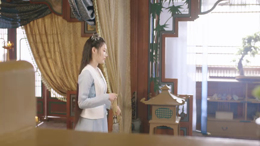 机智的公主殿下 9集