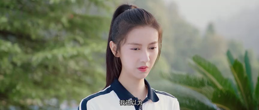 花海 9集