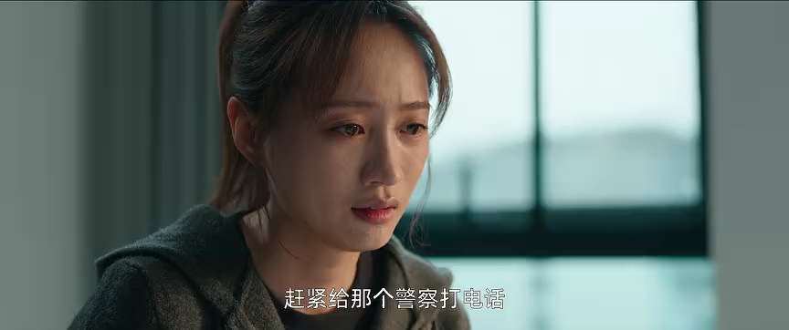 被隐匿的真相精编版 16集