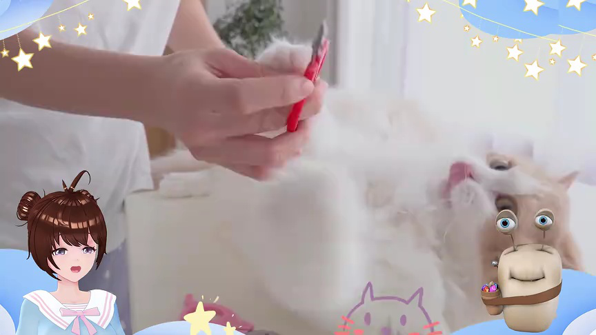 白白侠的猫咪朋友 154集