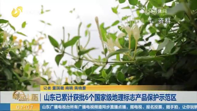 平邑金银花入选,山东已累计获批6个国家级地理标志产品保护示范区