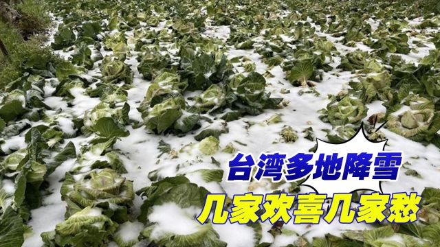 台湾多地降雪,几家欢喜几家愁