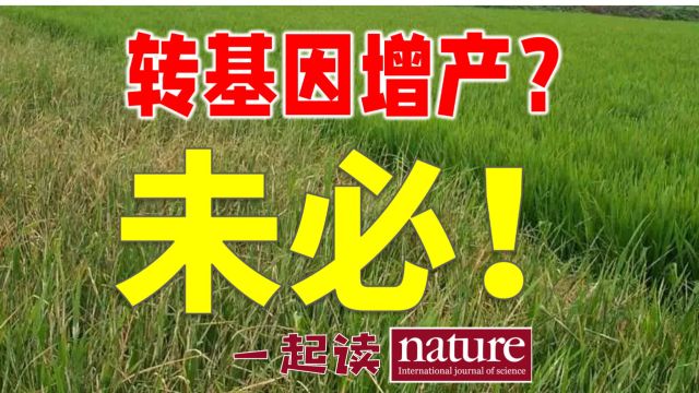 Nature:让转基因提高作物产量,其实是一个伪命题