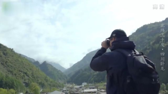 四川卧龙4:雪豹终于现身,摄影机拍下它的身影,无比珍贵的画面