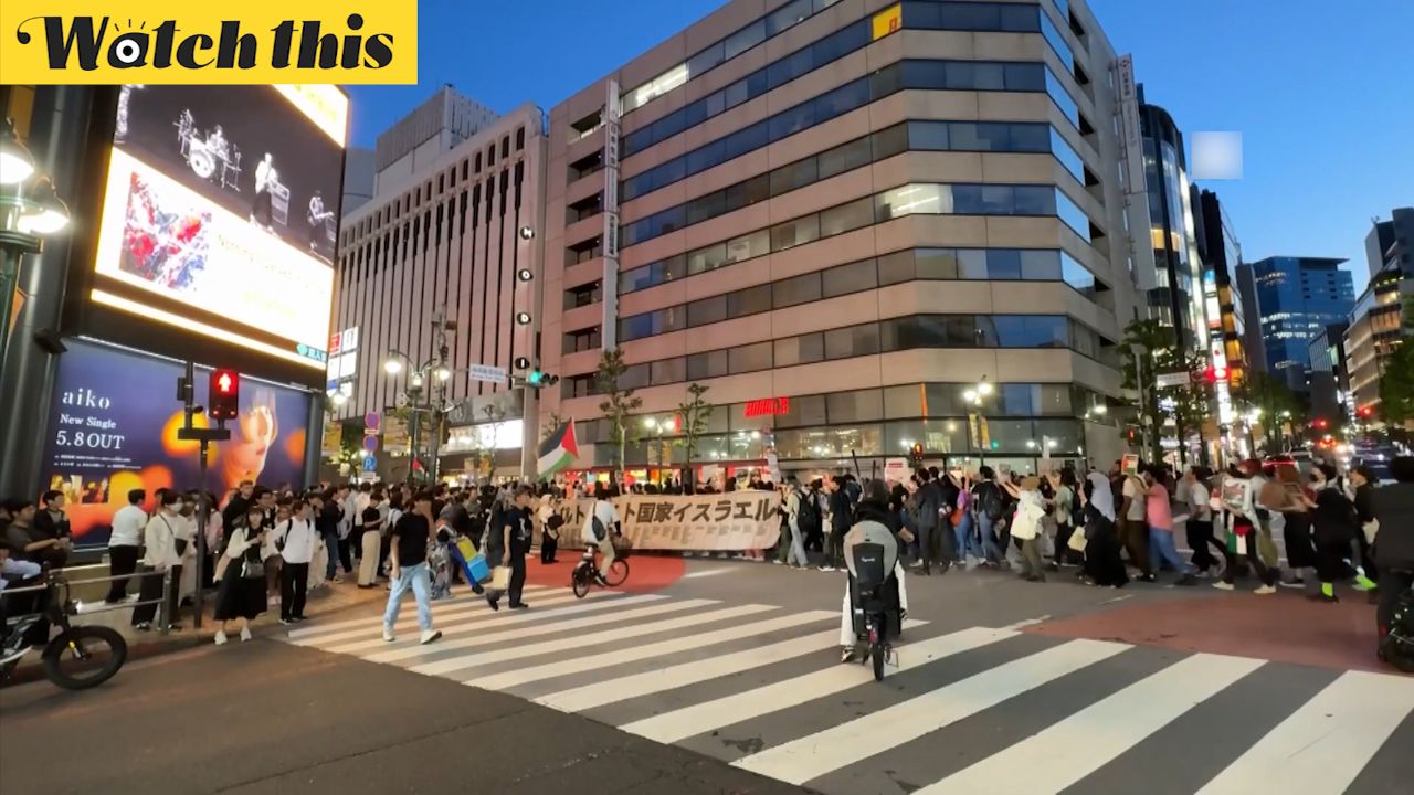 日本民众在东京市中心举行游行 声援巴勒斯坦 反对加沙战争