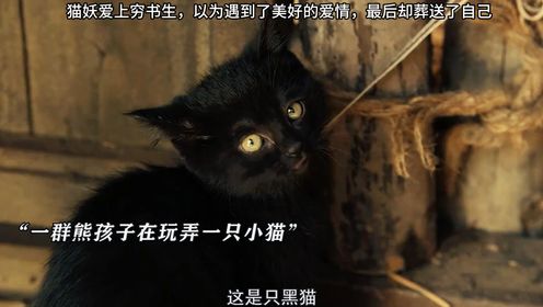 猫妖奇谭：猫妖爱上穷书生，以为遇到了美好的爱情，最后却葬送了自己