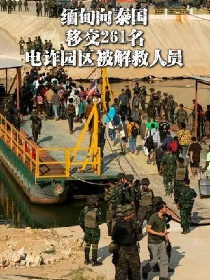 #现场实拍！#缅甸向#泰国移交261名电诈园区被解救人员，泰国军方护送。（记者：宋焕钰）_高清