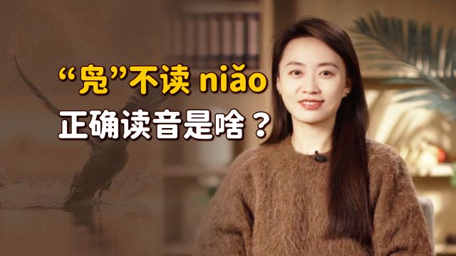 “凫”字怎么读?不读niao也不读ji,考验文化的时候到了