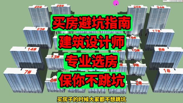 买房避坑指南:建筑设计师专业选房,内行人保驾护航,选房不跳坑