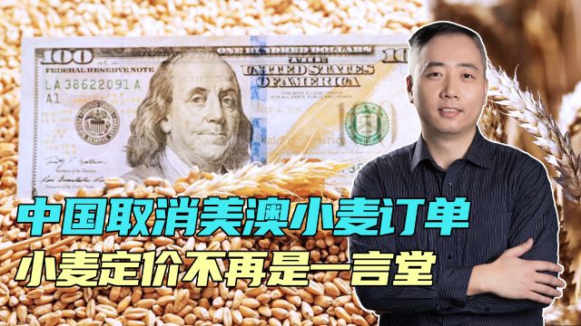 150万吨的小麦,中国不从美澳买了,北边大国订单悄悄上涨