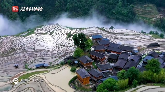 春色怡人!加榜梯田雨后云雾缭绕宛若田园画卷