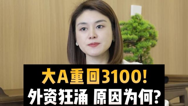 大A重回3100!外资狂涌,原因为何?#财经 #市场分析 #猫投鹰公社⠀