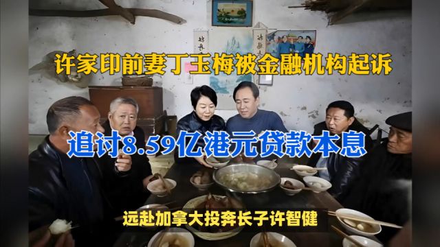 许家印前妻丁玉梅被金融机构起诉,追讨8.59亿港元贷款本息