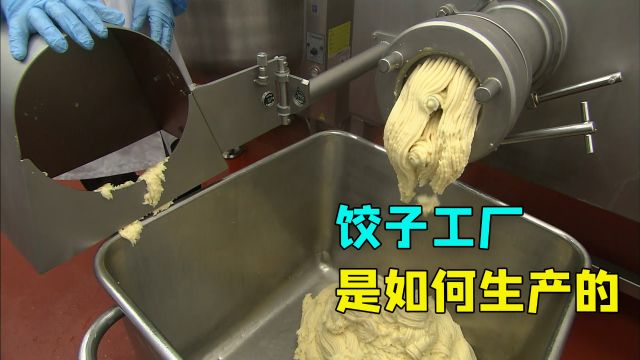 饺子工厂是如何生产饺子的?全自动生产机器,直接吐出馅料包裹.