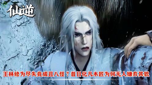 《仙逆》王林修为尽失竟成丑八怪？昔日化凡木匠为何无人嫌弃其貌_高清