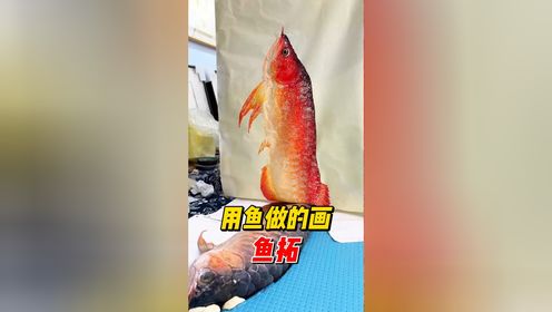 腾讯视频