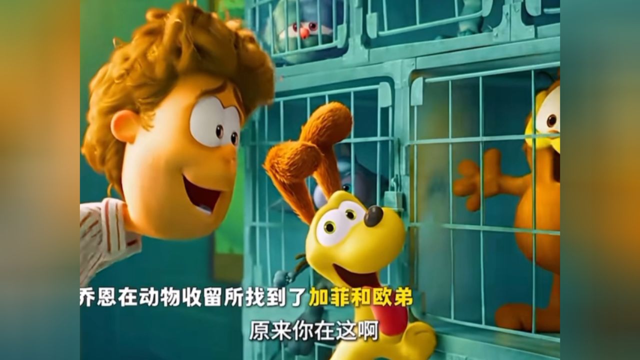 乔恩真的很爱加菲猫，为了它可以跑遍整座城市！_高清1080P在线观看平台_腾讯视频