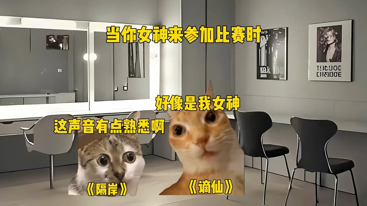 当你女种来参加比赛时.#猫meme#音乐分享#戴上耳机#猫meme小剧场#爱情讯息_高清1080P在线观看平台_腾讯视频