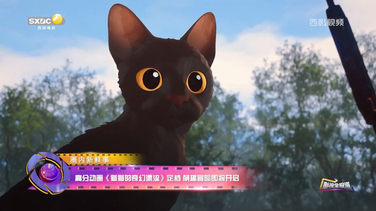 《影视全报道》高分动画《猫猫的奇幻漂流》定档萌趣冒险即将开启_高清1080P在线观看平台_腾讯视频
