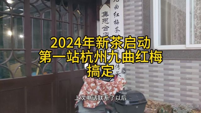 2024年新茶启动,第一站杭州九曲红梅搞定,省级非遗传承人