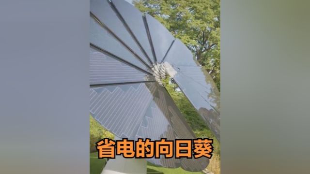 奥地利人在门前放黑色“向日葵”,不用再交电费,这是什么原理?