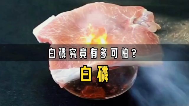 白磷究竟有多可怕?将其放在猪肉上,白磷自燃,猪肉瞬间被烤熟黑科技知识冷知识化学实验科普一下