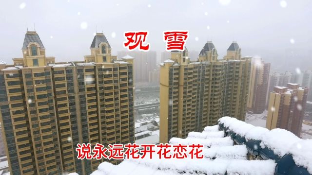 观雪 #雪 #唯美意境 #雪景美如画 #一场大雪美如画 #雪景