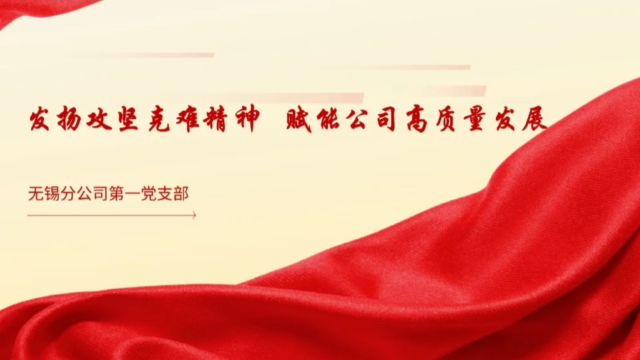 《发扬攻坚克难精神 赋能公司高质量发展》(第一党支部)