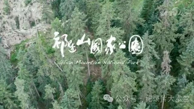 美丽中国|中华名山系列纪录片《祁连山国家公园》2集(全)