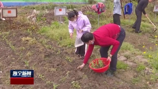 4月22日起,海宁城南火热项目开启预约→