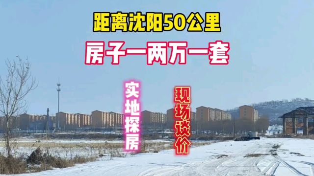 距离沈阳50公里灯塔市铧子镇房子一两万一套鬼哥实地探房现场谈价#房价 #探房 #房价走势