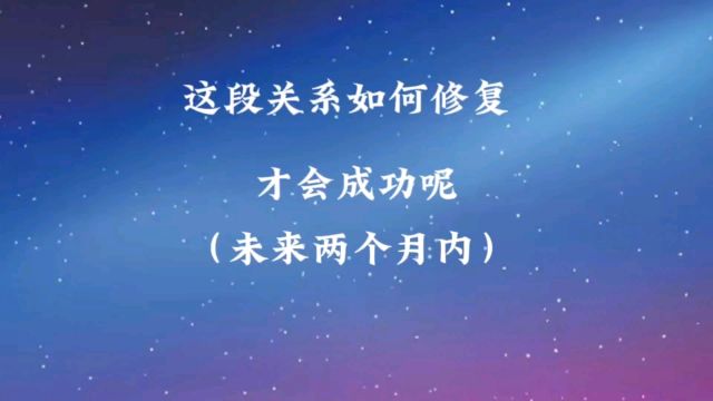 这段关系如何修复才会成功呢(未来两个月内)