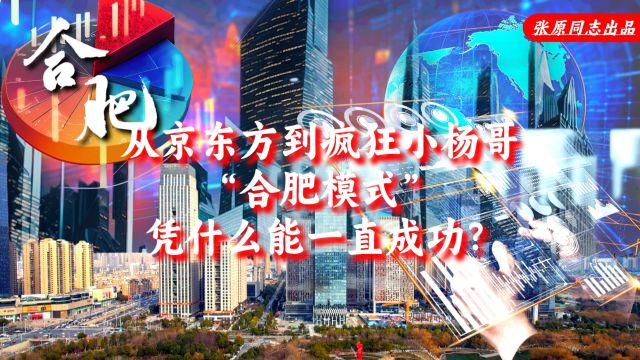 从京东方到疯狂小杨哥,合肥模式凭什么能一直成功?