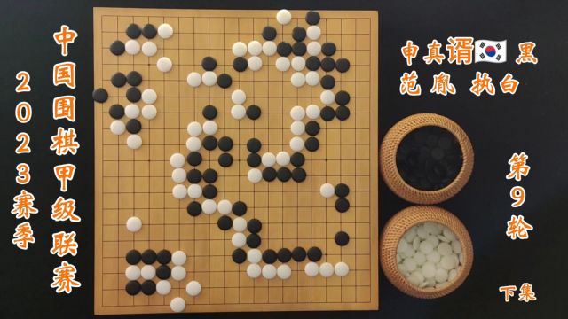 2023赛季中国围棋甲级联赛第9轮申真谞vs范胤下集