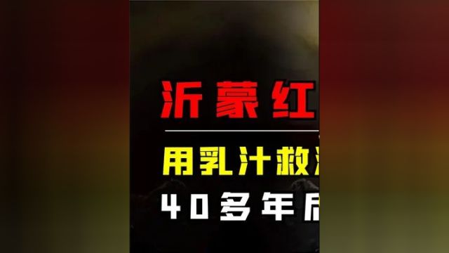 第一集,小八路被沂蒙红嫂用乳汁救活,多年后身居高位,他是如何报恩的? #历史 #人物故事 #记录 #科普