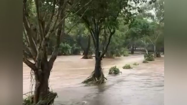 澳大利亚昆士兰州遭遇洪水,学校停课